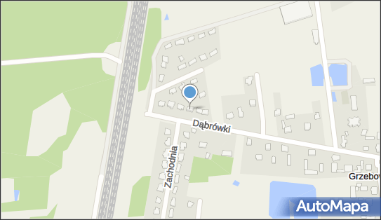 8241720289, Fleetconsultant Patrycjusz Suchenek 