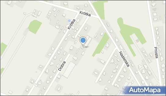 016839546, Flora - Elżbieta Zwierzchowska 
