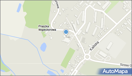 Flora Sp. z o.o., Mikołaja Kopernika 15, Praszka 46-320 - Przedsiębiorstwo, Firma, numer telefonu