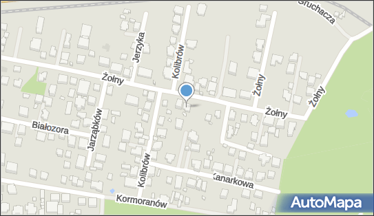5212884785, Flora Tomasz Kapuściński 