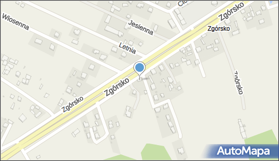 Flying Fox, Zgórsko 69, Zgórsko 26-052 - Przedsiębiorstwo, Firma, NIP: 9591674159