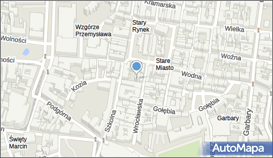 Focus, Kozia 20, Poznań 61-835 - Przedsiębiorstwo, Firma, NIP: 9720814899