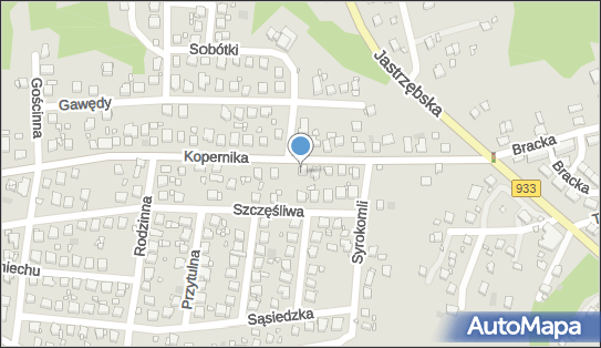 6472191252, Usługi Transportowo Handlowe Patrycjusz Fojcik 