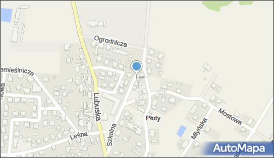 9730969184, For-Transpol sp. z o.o. 