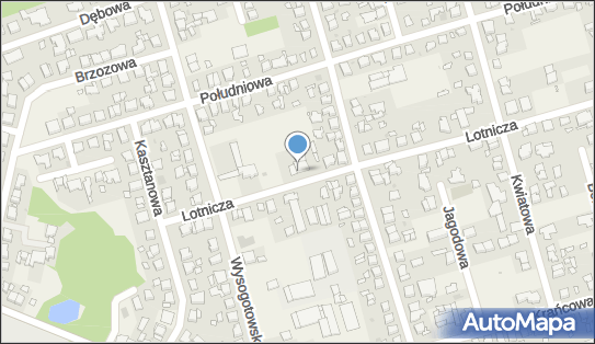 Fortuna, Lotnicza 70, Przeźmierowo 62-081 - Przedsiębiorstwo, Firma, NIP: 7772628630