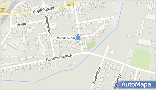 Frost II, Ogrodowa 1, Czempiń 64-020 - Przedsiębiorstwo, Firma, numer telefonu, NIP: 6981820710