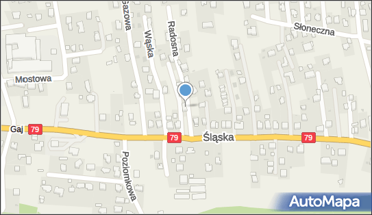 Frygi Drygi Natalia Kubica, ul. Radosna 1, Zabierzów 32-080 - Przedsiębiorstwo, Firma, NIP: 5130070929