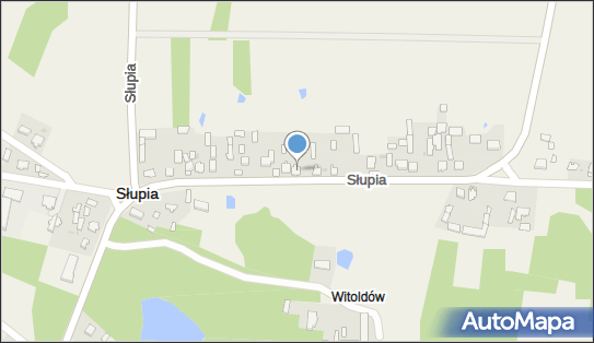 363167747, Firma Usługowo-Handlowa Przemysław Paszewski 