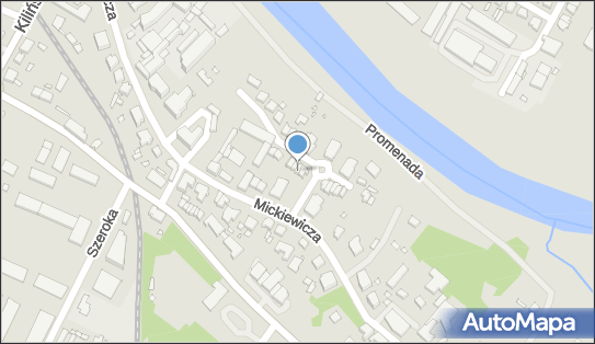 Fundacja DR Lucy, Mickiewicza Adama 33, Śrem 63-100 - Przedsiębiorstwo, Firma, numer telefonu, NIP: 7851758019