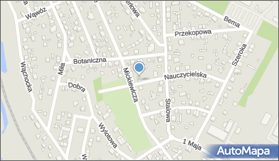 290969029, Fundacja Ekologiczna 