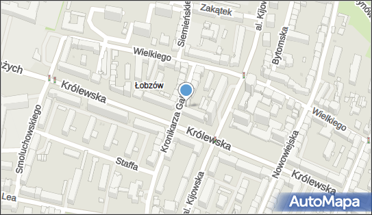 Fundacja Imienia Alberta Adlera, ul. Kronikarza Galla 12, Kraków 30-053 - Przedsiębiorstwo, Firma