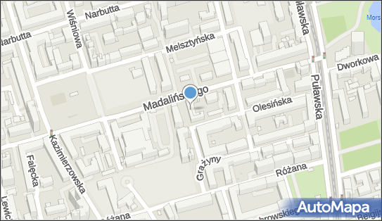 7010011919, Fundacja 