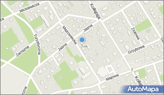 Fundacja PRO HOMINI, Mazowiecka 10, Otwock 05-402 - Przedsiębiorstwo, Firma