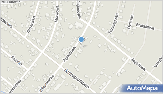 5261735967, Fundacja Romów 