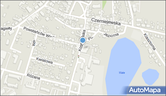 Fundacja Scena Pobiedziska, Kostrzyńska 21, Pobiedziska 62-010 - Przedsiębiorstwo, Firma, numer telefonu, NIP: 7772901333
