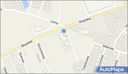 8392963564, Fundacja 