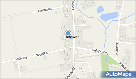 Fundacja Wsparcia Społecznego Amicorum Omnia Communia, Tarnowiec 55-106 - Przedsiębiorstwo, Firma, NIP: 8942987223