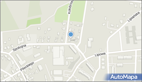 210386304, Fwhu Wyszomirski Witold Wyszomirski 