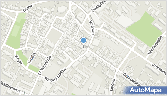 Gabinet Fizjoterapeutyczny Reh Med, Środa Wielkopolska 63-000 - Przedsiębiorstwo, Firma, NIP: 7861055839