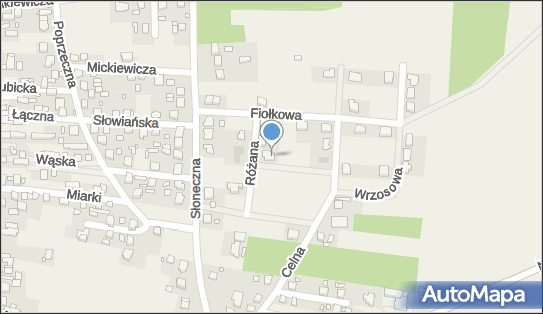 9910238128, Jacek Milewski Gabinet Fizjoterapii Reh - MIL 