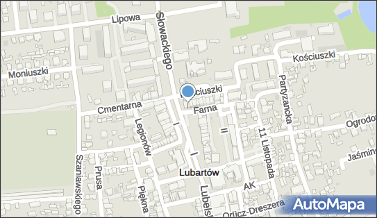 Gabinet Internistyczny z Ekg, ul. Farna 3, Lubartów 21-100 - Przedsiębiorstwo, Firma, NIP: 7141374456