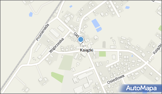 Gabinet Kosmetyczny i Solarium Dorota Kemska, Toruńska 2, Książki 87-222 - Przedsiębiorstwo, Firma, NIP: 8781741349