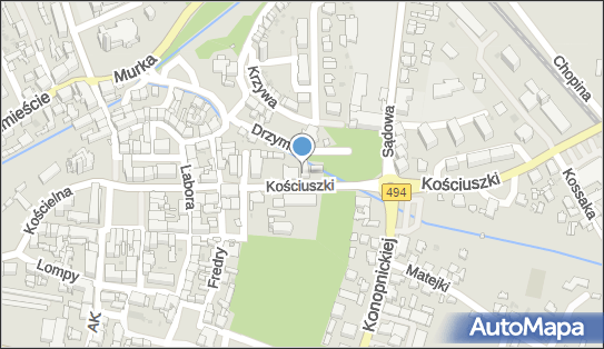 Gabinet Kosmetyczny, ul. Tadeusza Kościuszki 16, Olesno 46-300 - Przedsiębiorstwo, Firma, numer telefonu, NIP: 5761376431