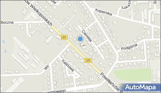 Gabinet Laryngologiczny, Powstańców Wielkopolskich 22a, Szamotuły 64-500 - Przedsiębiorstwo, Firma, NIP: 7871095912