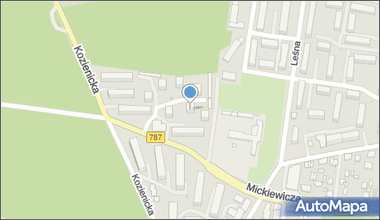 Gabinet Lekarski Dermatologiczny, ul. Adama Mickiewicza 37, Pionki 26-670 - Przedsiębiorstwo, Firma, NIP: 8121041858