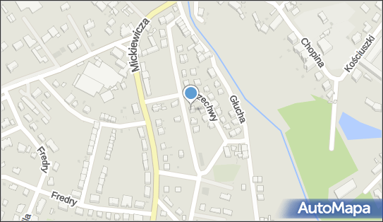 Gabinet Lekarski, ul. Jana Kasprowicza 23, Jawor 59-400 - Przedsiębiorstwo, Firma, NIP: 6951043584