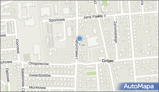 Gabinet Lekarski, Lewiczyńska 21, Grójec 05-600 - Przedsiębiorstwo, Firma, NIP: 7971088001