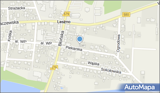 5291018207, Specjalistyczna Praktyka Lekarska Andrzej Brynczak 