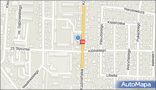 Gabinet Lekarski, Koźmińska 59a, Krotoszyn 63-700 - Przedsiębiorstwo, Firma, NIP: 6211057129