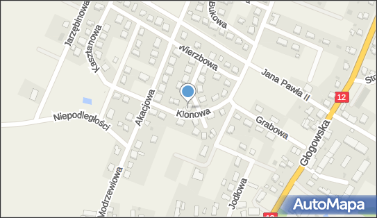 Gabinet Masażu i Rehabilitacji Ruchowej Jolanta Jolanta Maciejewska 59-160 - Przedsiębiorstwo, Firma, numer telefonu, NIP: 6922360201