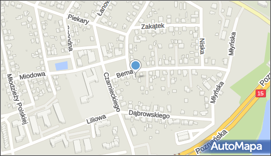 Gabinet Masażu Leczniczego, ul. Alfreda Bema 29A, Gniezno 62-200 - Przedsiębiorstwo, Firma, numer telefonu, NIP: 7841403220