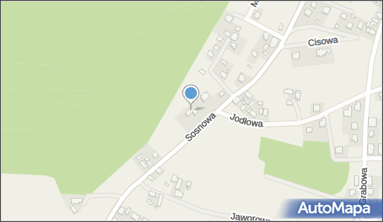 Gabinet Medycyny Alternatywnej i Mammografii, ul. Sosnowa 19A1 46-045 - Przedsiębiorstwo, Firma, NIP: 7542049584