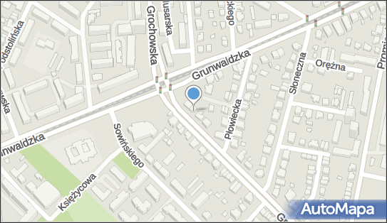 Gabinet Okulistyczny Patelska, Grochowska 28, Poznań 60-277 - Przedsiębiorstwo, Firma, NIP: 7791132309