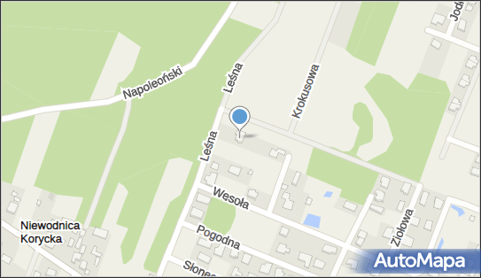 5421189150, Indywidualna Specjalistyczna Praktyka Lekarska dr Hab.n.Med.Adam Lemancewicz 