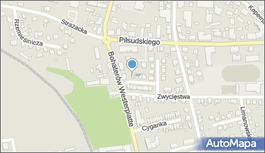 Gabinet Prywatny Lek Med, Różana 1, Pasłęk 14-400 - Przedsiębiorstwo, Firma, NIP: 5781726236