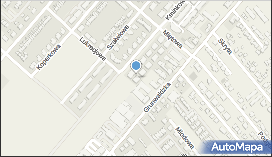 Gabinet Psychologiczny, Kminkowa 156d, Plewiska 62-064 - Przedsiębiorstwo, Firma, NIP: 5611030317