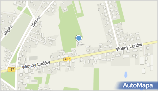 Gabinet Usług Położniczo Pielęgniarskich, Wiosny Ludów 13 62-404 - Przedsiębiorstwo, Firma, NIP: 6671041704