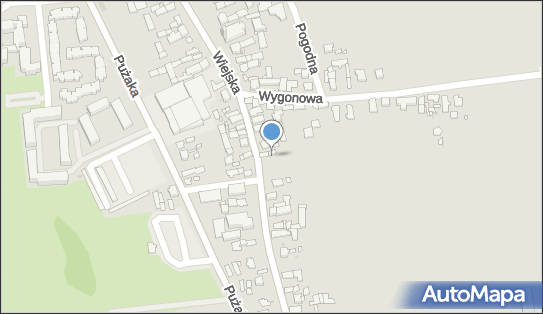 Gabinet Usprawniania Leczniczego, Wiejska 115, Opole 45-240 - Przedsiębiorstwo, Firma, NIP: 7541927551