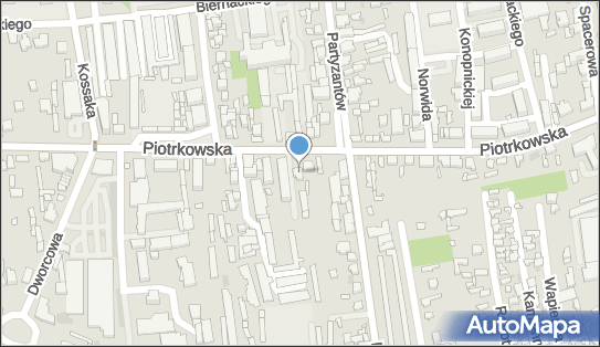 Gabinet Weterynaryjny Remedium, ul. Piotrkowska 47 26-300 - Przedsiębiorstwo, Firma, NIP: 7681696301