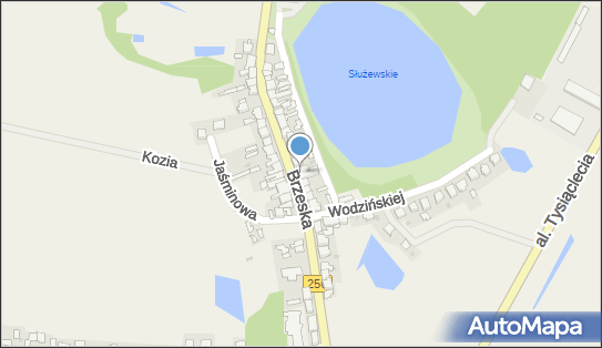 Gacek Stanisław Godziątkowski, Brzeska 31, Służewo 87-710 - Przedsiębiorstwo, Firma, NIP: 9560004185