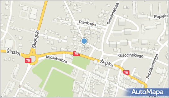 6281009377, Turek Krystyna, Galanteria Ozdobna 
