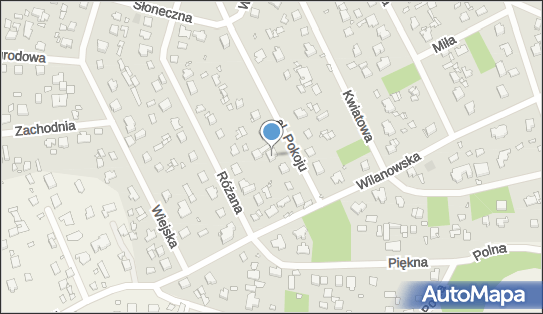 1132239661, Gaumarjos Liana Gamcemlidze 