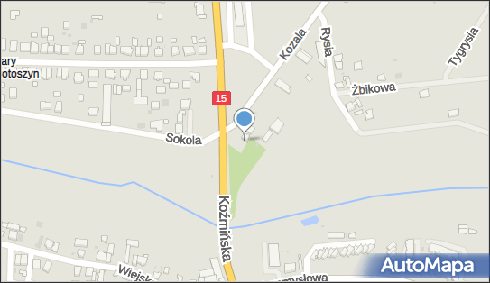 GB Trans Bulińska Adriana Bulińska Gabriela, Kozala 2, Krotoszyn 63-700 - Przedsiębiorstwo, Firma, numer telefonu, NIP: 6211685682