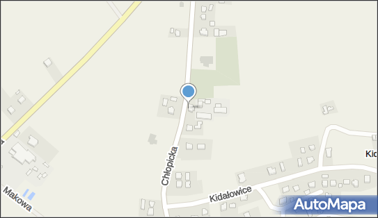 Geodeta Uprawniony MGR Inż Irena Bajdak, Kidałowice 151 37-500 - Przedsiębiorstwo, Firma, NIP: 7921037846
