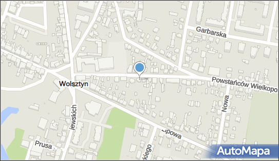 Geodezja Lemke i Syn, ul. Powstańców Wlkp. 15, Wolsztyn 64-200 - Przedsiębiorstwo, Firma, numer telefonu, NIP: 9231068327