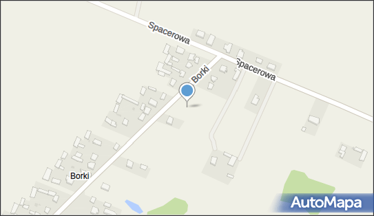 Głaszczka, Borki 11, 08-410 Rębków 08-410 - Przedsiębiorstwo, Firma